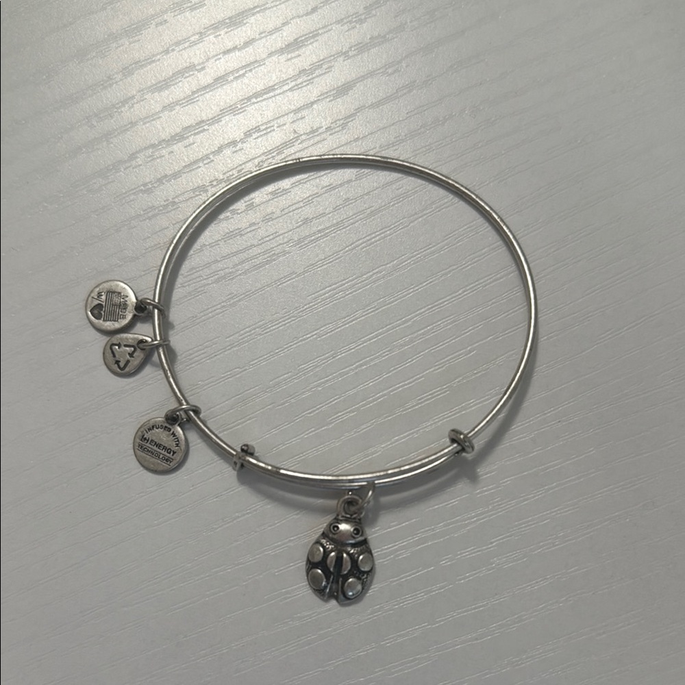 Alex and Ani Silver Ladybug Charm Bracelet